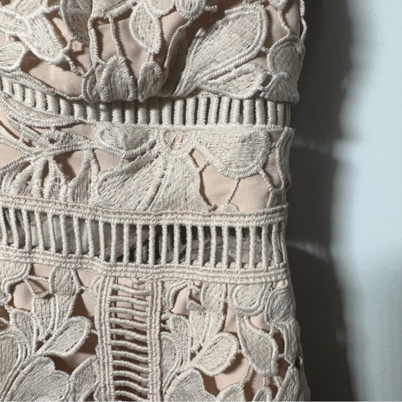 BARDOT Botanica Lace Bodycon Dress Size XS Feminine Wedding Guest Cocktail Dress - Picture 6 of 13